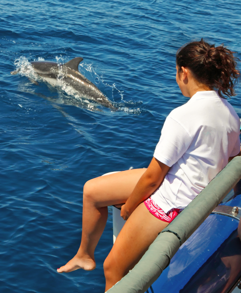 Whales and Dolphins Watching in Mirissa