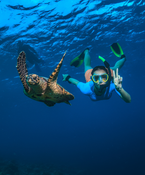 Snorkeling in Polhena Reef