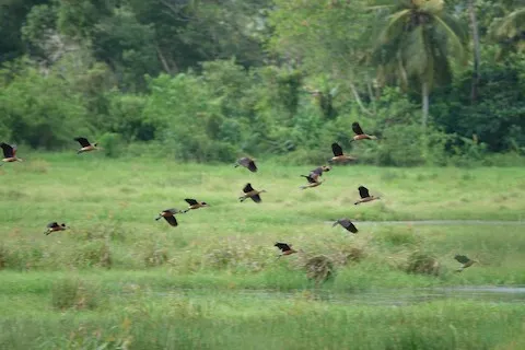Kirala Kele Sanctuary