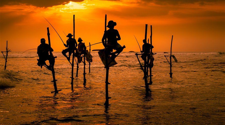 Stilt Fishing