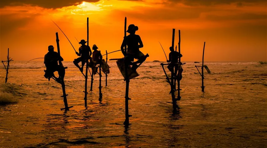 Stilt Fishing