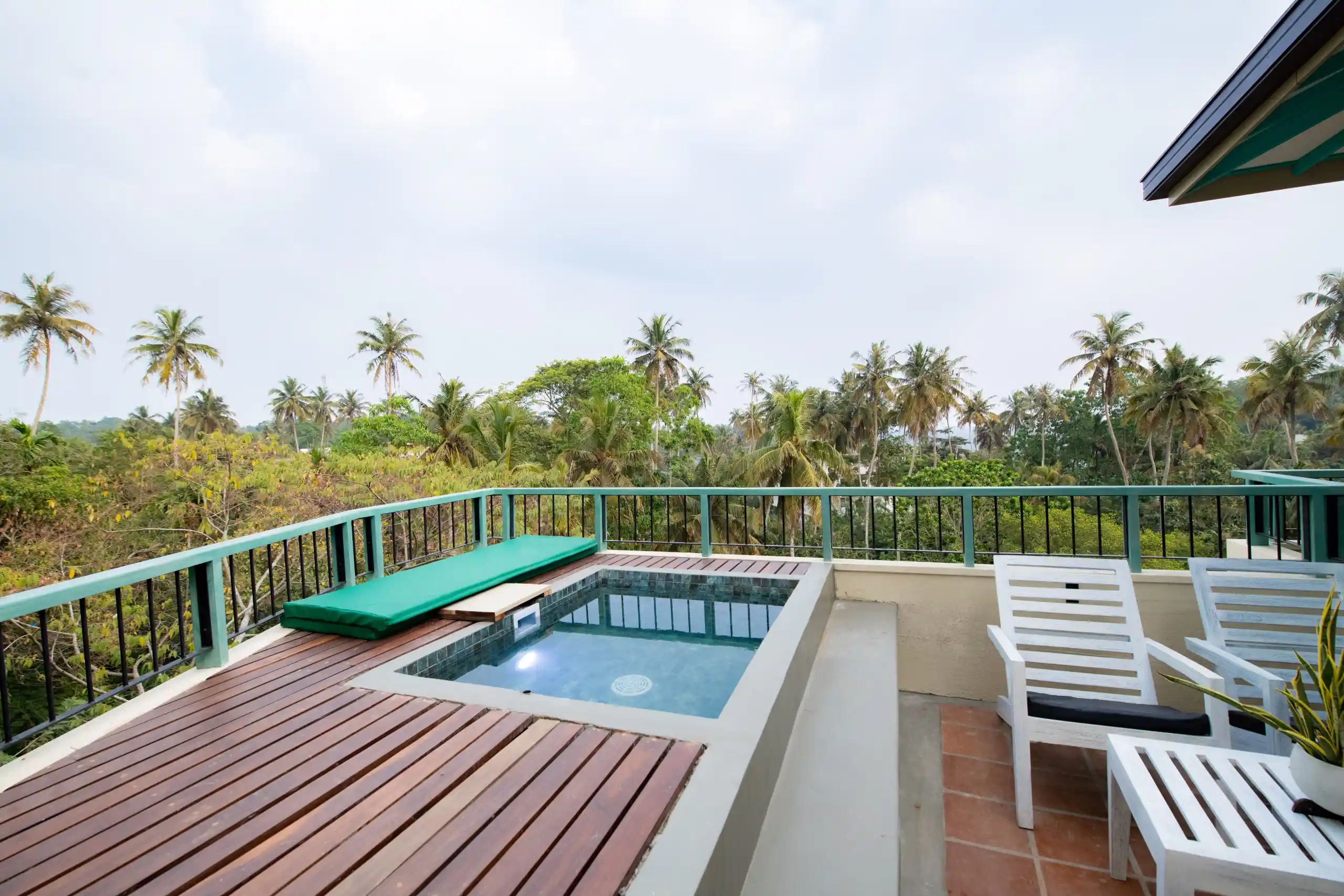 Rooftop plunge pool with palm views at Hiriketiya Beach Resort near best restaurants in Hiriketiya