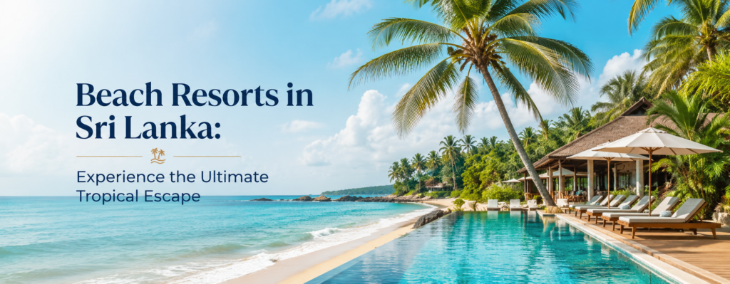 Beach Resorts in Sri Lanka: Experience the Ultimate Tropical Escape